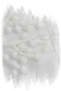 OFRA קימונו שמנת